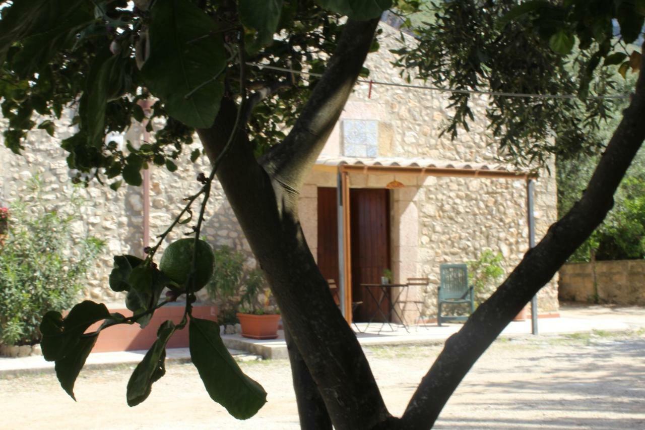 Rustici L'Antico Torchio Villa Castellammare del Golfo Kültér fotó