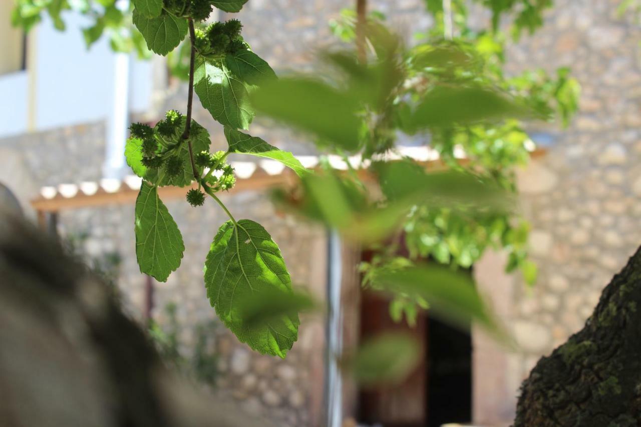 Rustici L'Antico Torchio Villa Castellammare del Golfo Kültér fotó